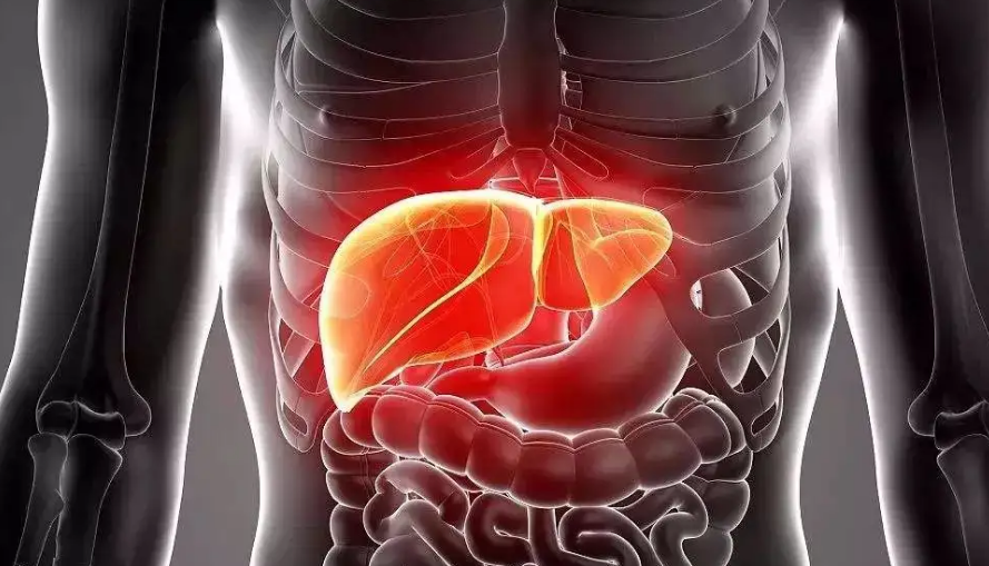 胖人高血压,多因肝火上炎,一张方子平肝降火,请你体会