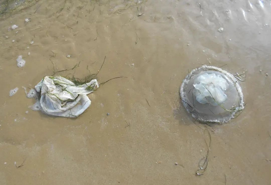 38张对比照片展示同一事物惊人的变化