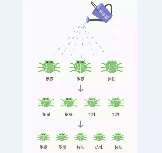 "农药抗药性"竟是源自人类破坏了环境多样性遭到的"反噬"?