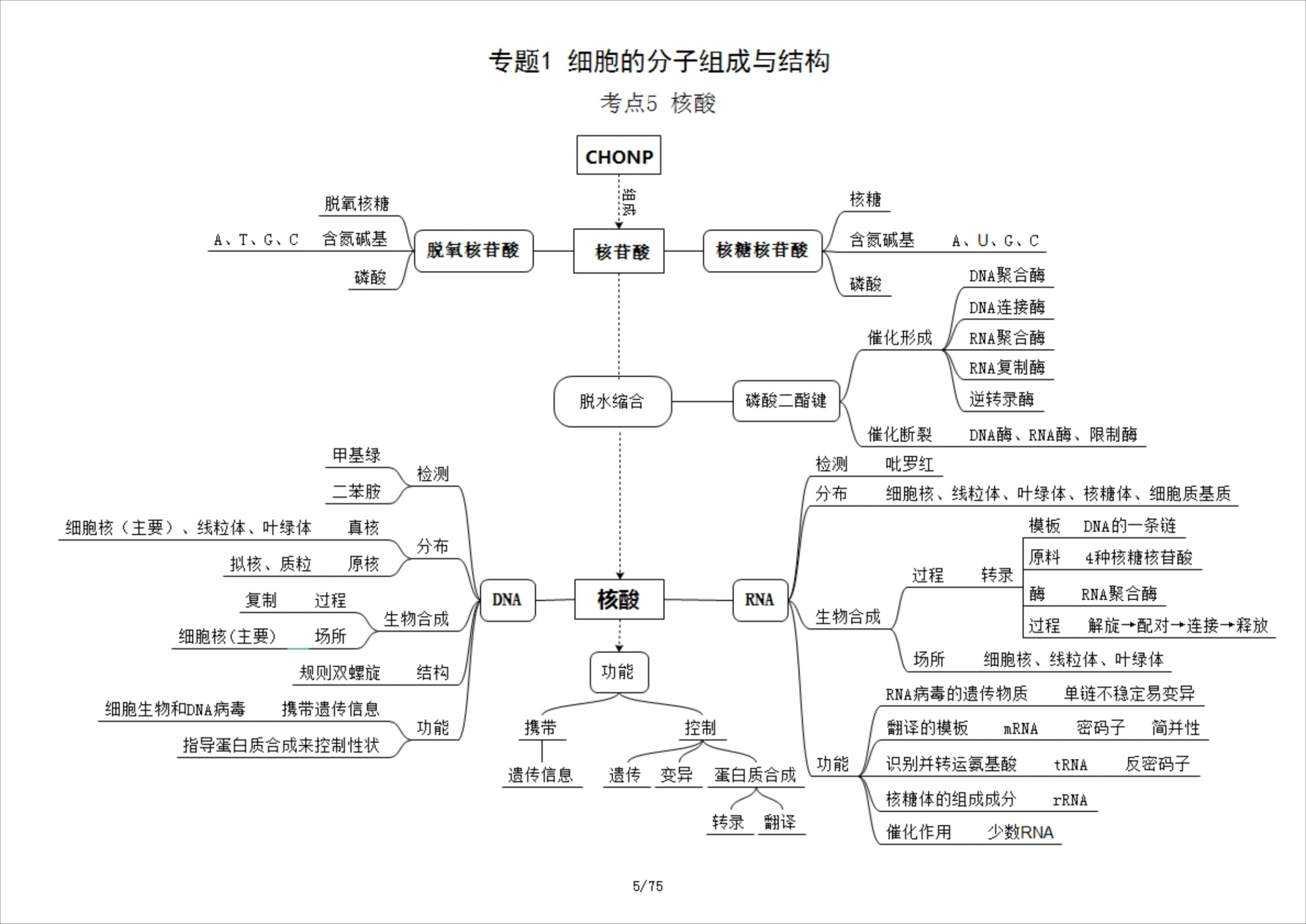 关于高中生物思维导图！知识点梳理，清晰的信息