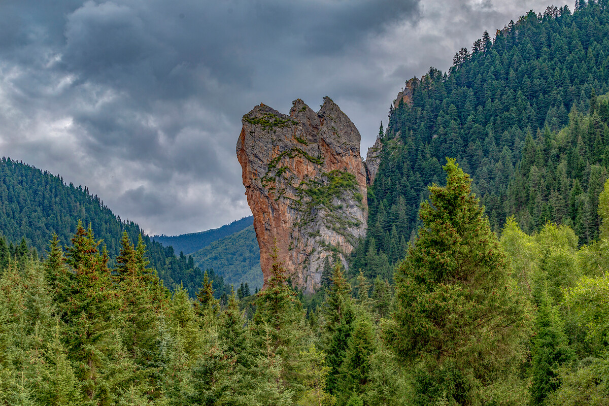 来了,中国最佳旅游胜地!打卡藏王故里洮砚之乡走进甘肃省卓尼县