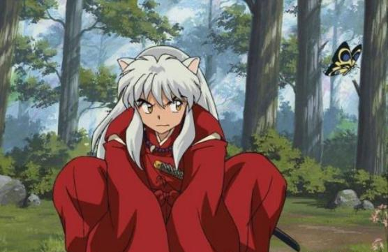 犬夜叉是什么品种的狗?作者:不管怎么看都像柴犬