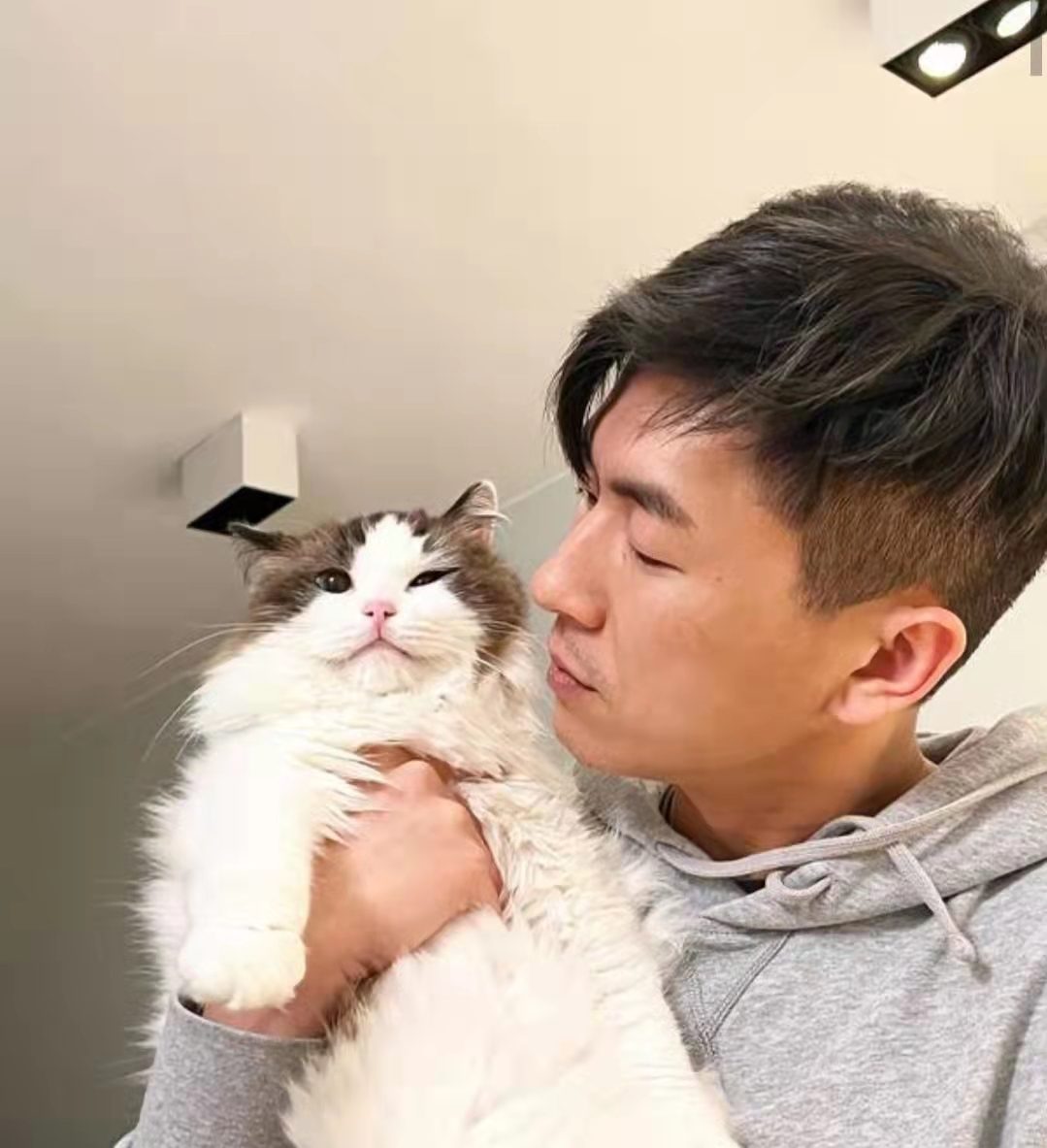 有爱!tvb小生马贯东街头救走失狗狗,成功找到主人获赞好人好事