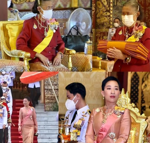 帕公主醒不来?育坤家族面临危机,将被踢出局