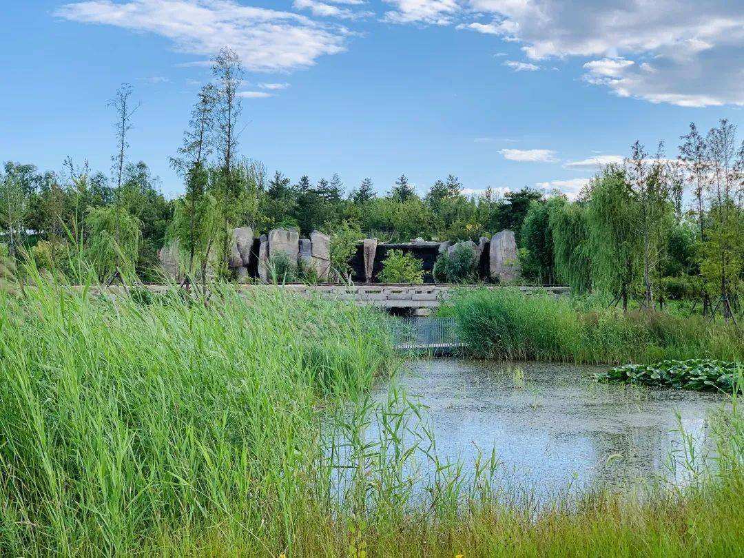 度假无需远行,北京温榆河,一个周末开启惬意度假模式!