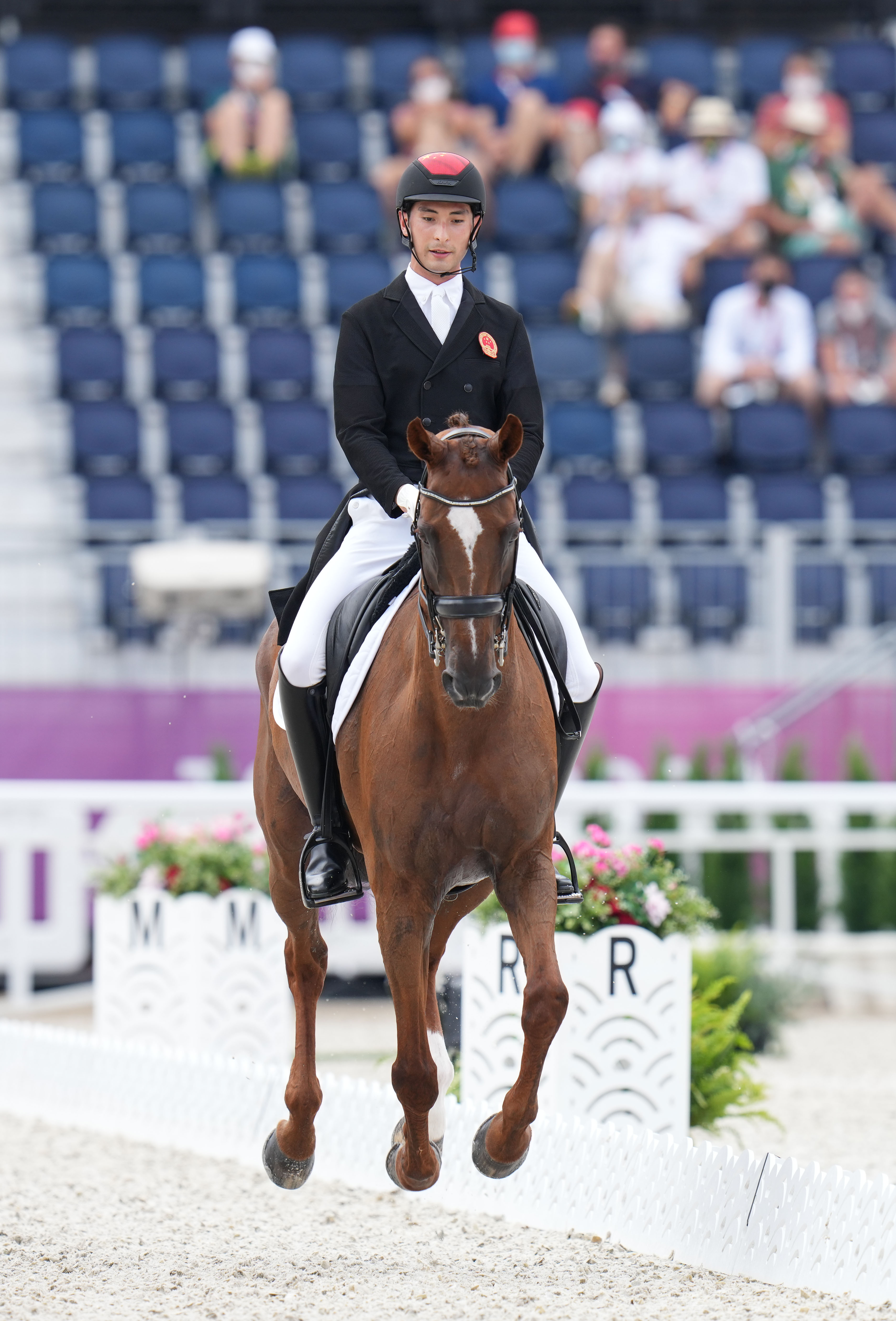 马术——中国选手华天亮相奥运赛场