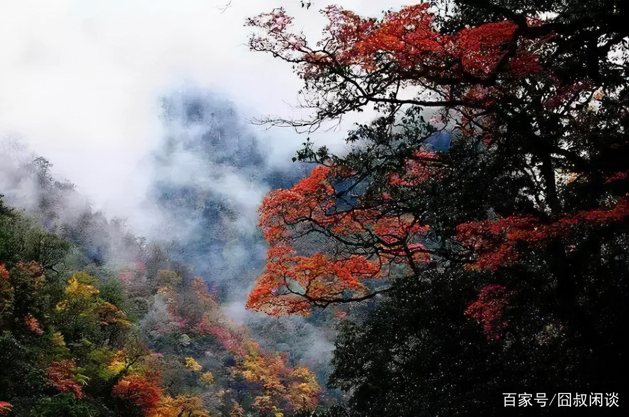 东拉山(东拉山大峡谷天气)
