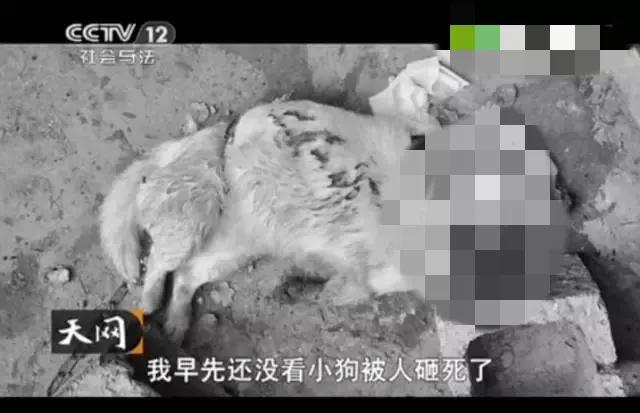 纪实:山东费县515惨案,新婚夫妻被恶魔折磨长达八小时!