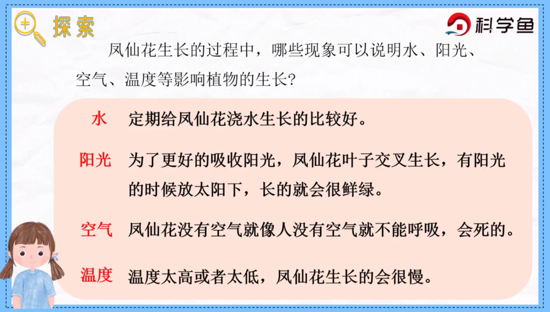 凤仙花传播种子的方法（凤仙花种子萌发时根总是怎么生长） 第12张