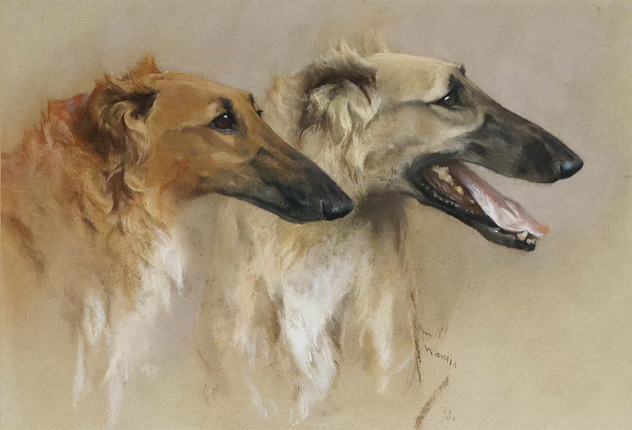 艺术家笔下的写实油画宠物狗100幅