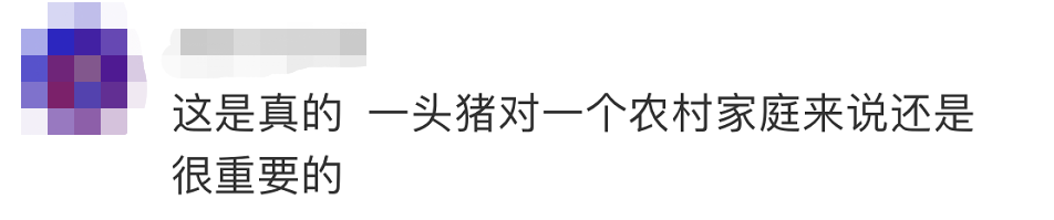 热点|“它是群众一年的收入”民警为救猪跳进化粪池，满身粪水还被踢肿了脸