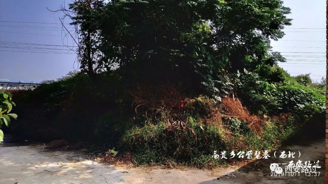 高贵乡公 曹髦墓(西安路过)