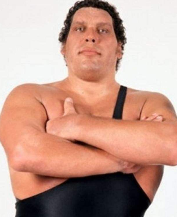 巨人摔跤手安德雷:体重近500斤,能喝156罐啤酒,连骨灰都重15斤