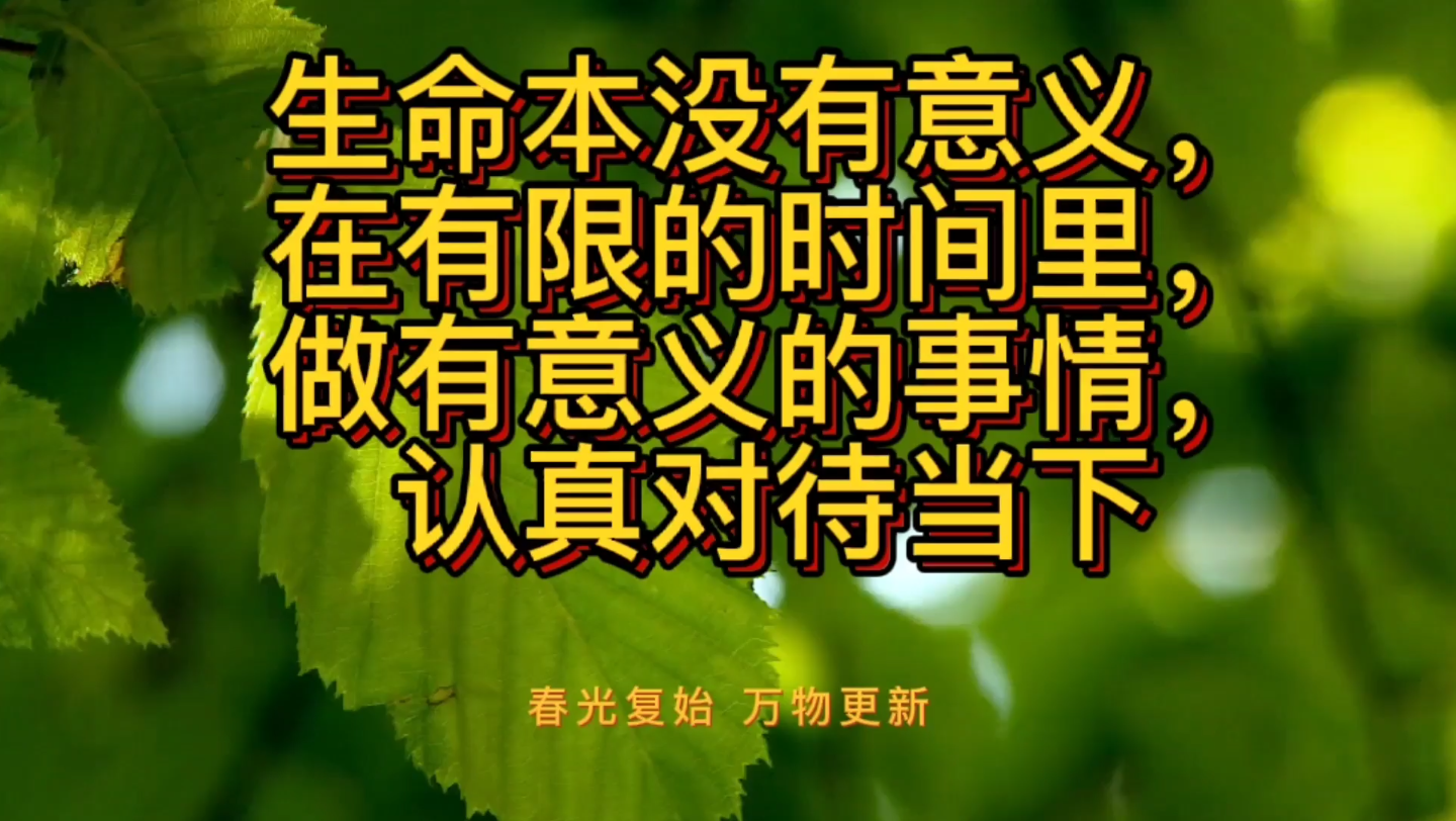 从张家界天门山跳崖自杀事件看我们的人生感悟