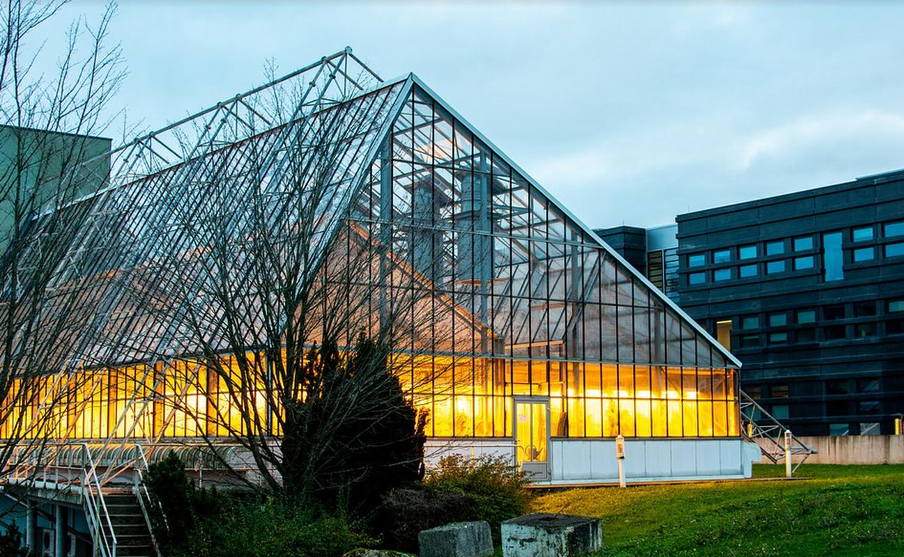 留学法国:巴黎萨克雷大学有哪些优势?