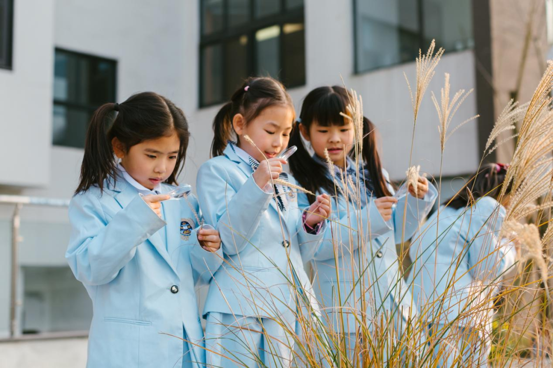 都江堰万汇:教育从心而发,学习以终为始