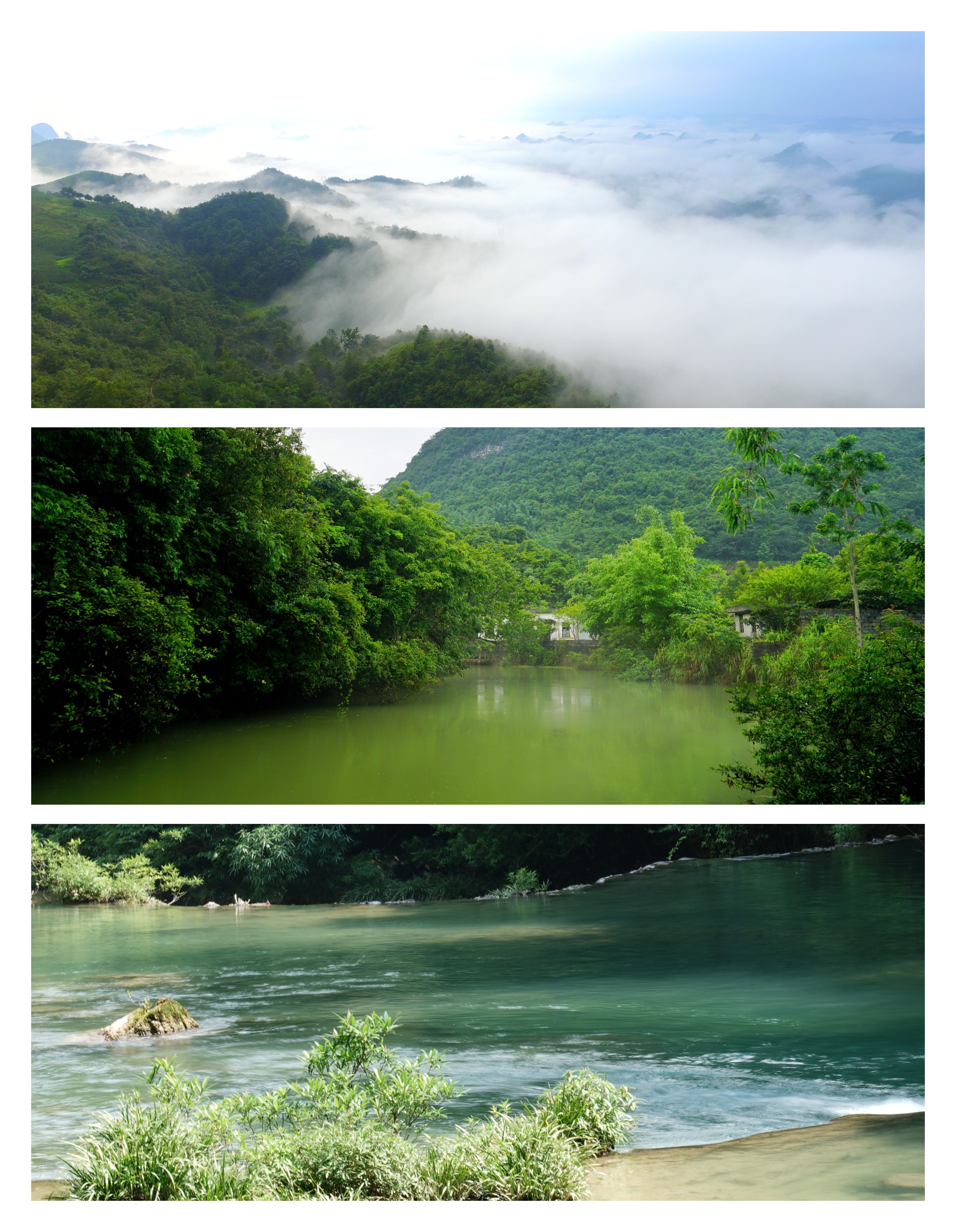贵南高铁贵阳至荔波段今日正式开通,带你玩转小众清凉的茂兰景区