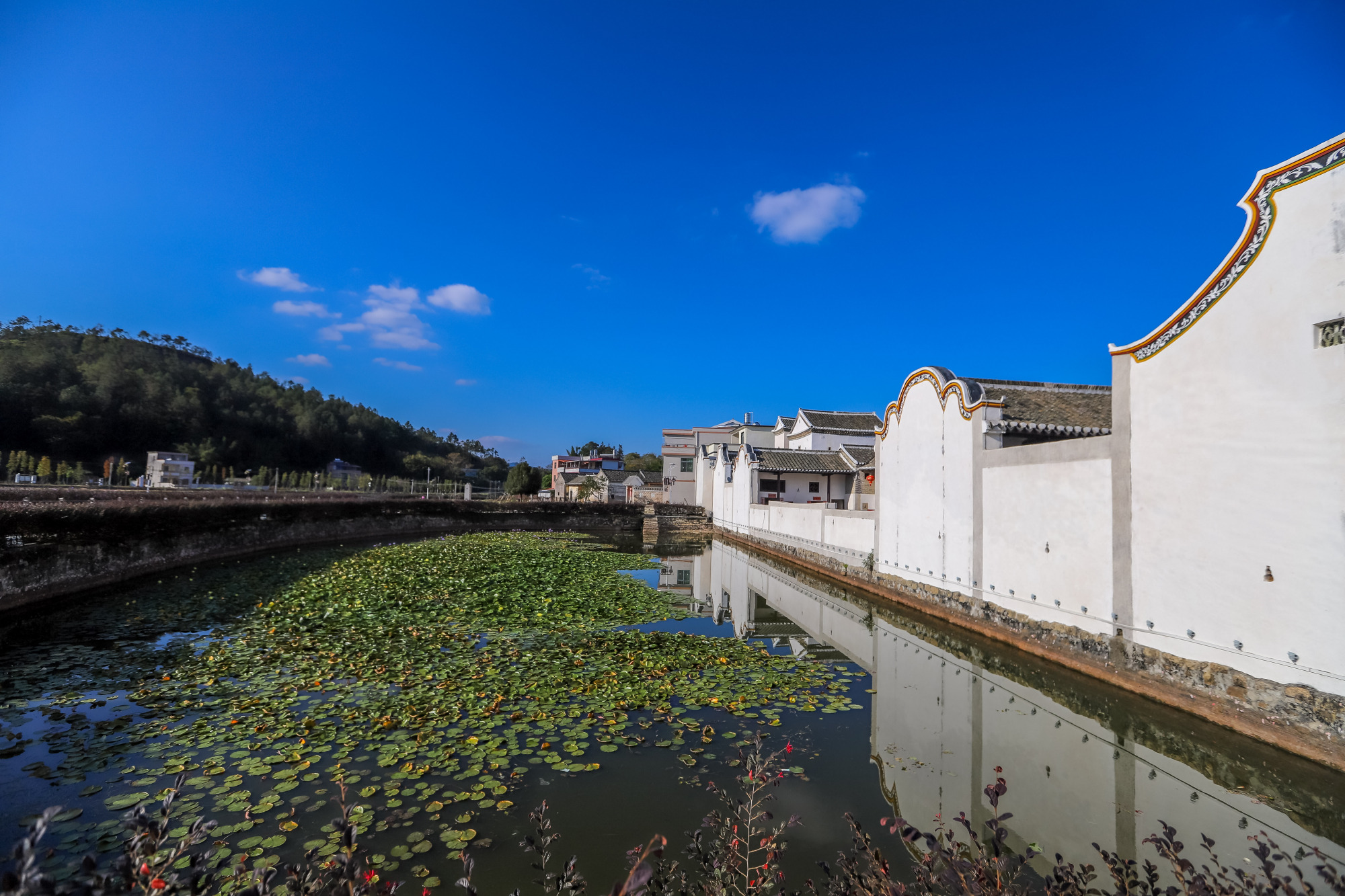 河源版"开平碉楼",仙坑村客家方形围屋,你见过吗?