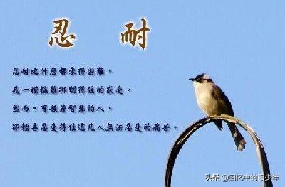 为什么"忍"字是心上插了一把刀,能忍,会忍才是人生大智慧!