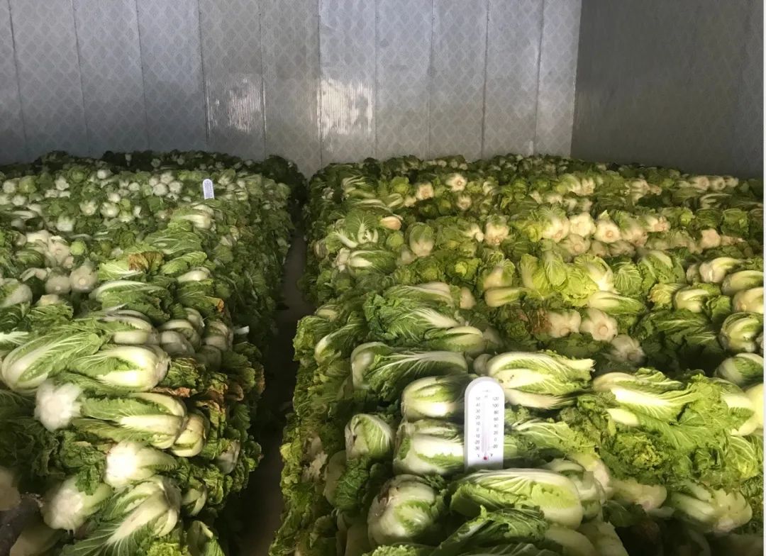 让传说中的"白菜价"涨出新高度