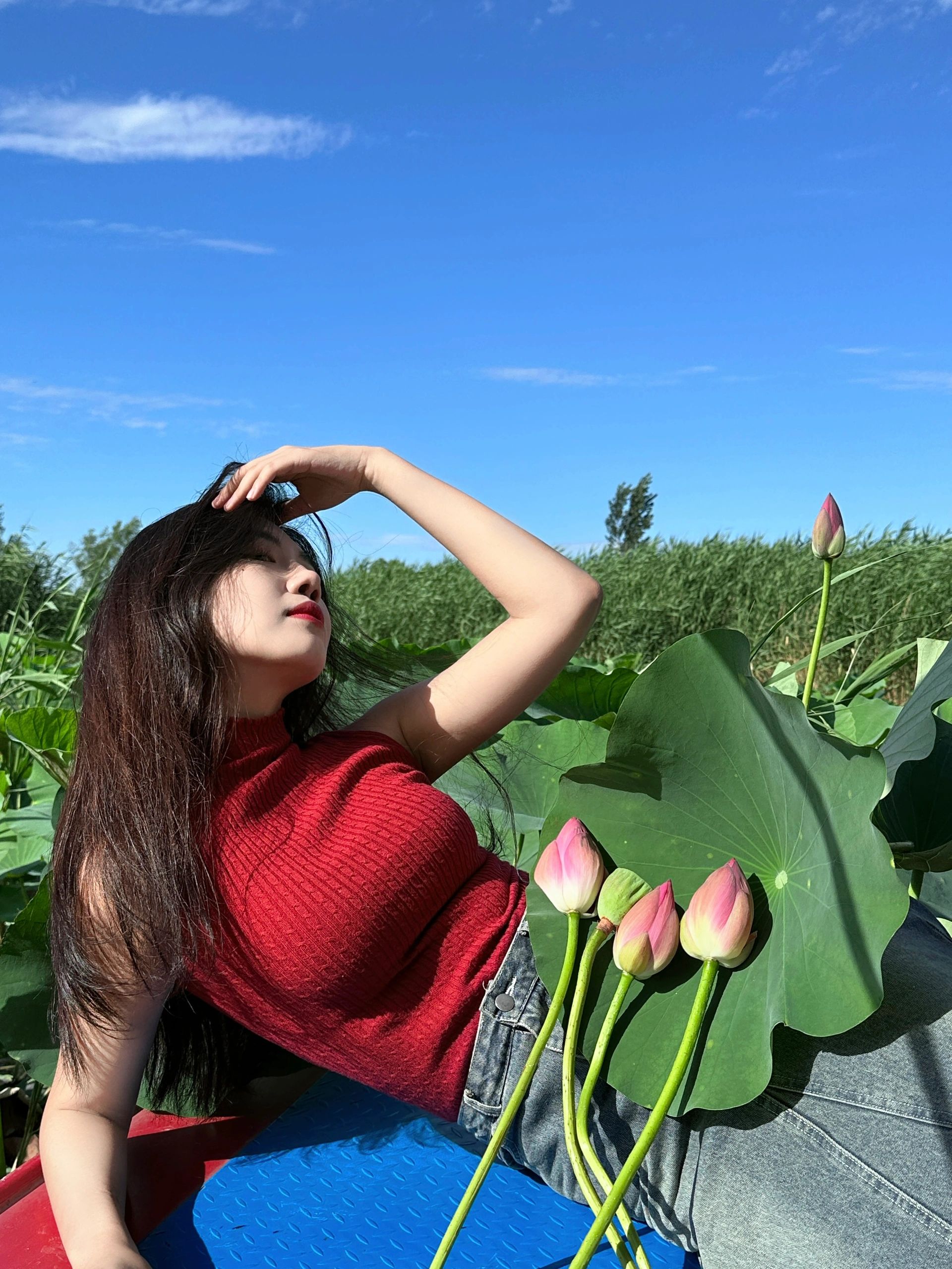 白洋淀 这么近那么美周末到河北
