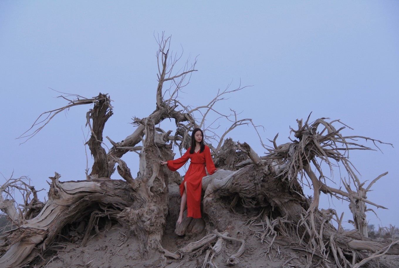 天与地与树,一片苍凉,一派悲壮