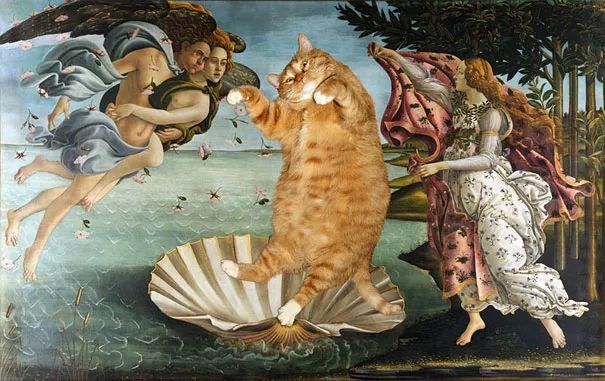 世界名画猫回喵星了,这是他留下的故事