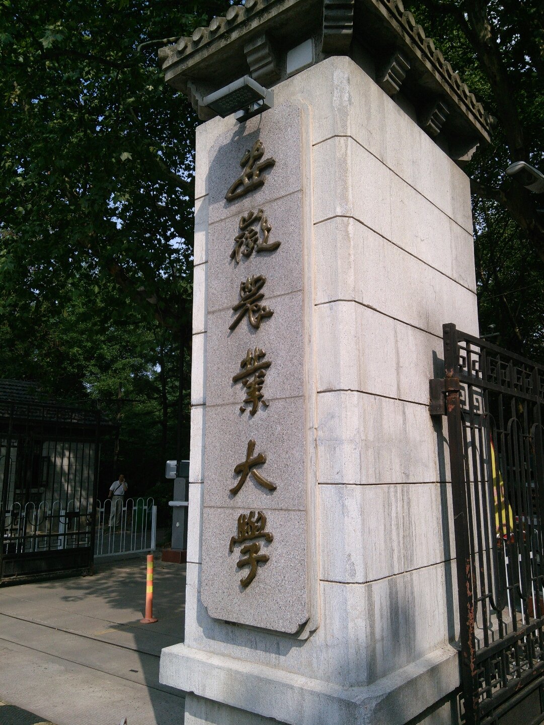 安徽农业大学是一所综合性农业大学以农业科学生命科学环境科学