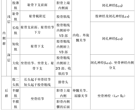 13张表格带你了解全身主要肌肉起止点