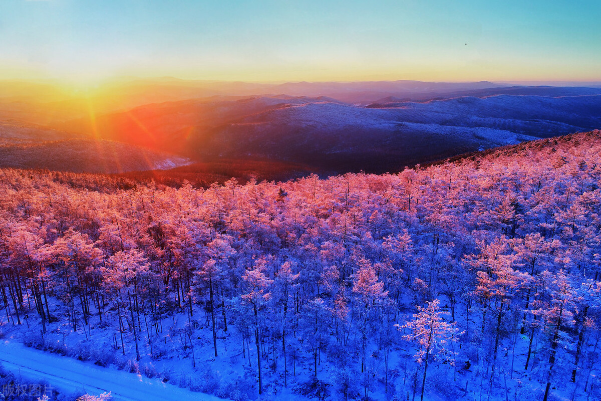 大兴安岭冬季原始森林冰雪风光,林海雪原松林,树林雾凇