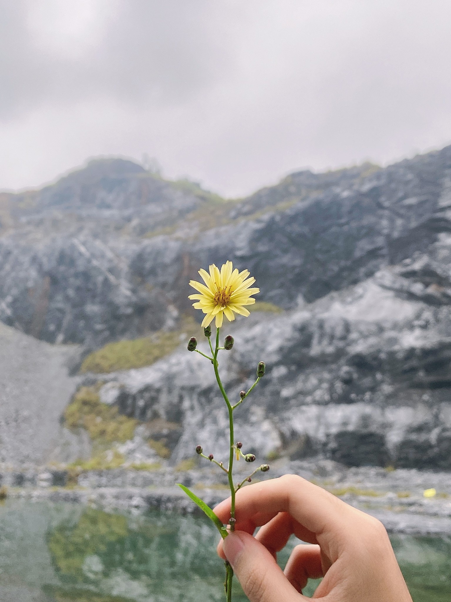 《次第花开》:人生无常,苦难是底色,提前做好这件事情,足矣