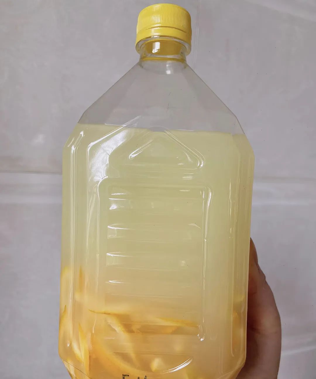 发酵淘米水"加点料",激发肥力,不管养什么花都能用,太厉害了