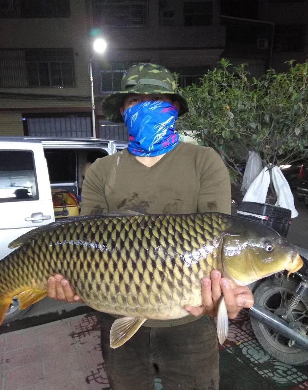 小伙在水库捕获了100斤鲤鱼,长达60厘米,后来怎么处理了?