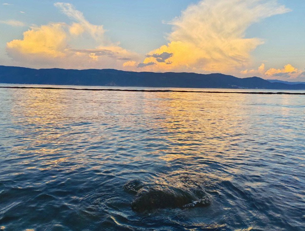 洱海为何叫多鱼之湖,海里有一种美味弓鱼,堪称活化石