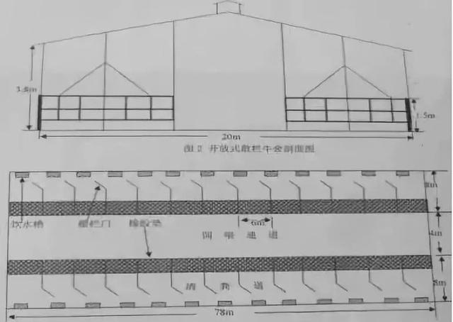 饲喂方式不同,牛舍的修建方式也有细节变化,新手建议查看