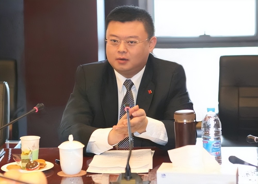 王靖:曾号称"中国马斯克"的他是个大忽悠,欺骗了一个国家