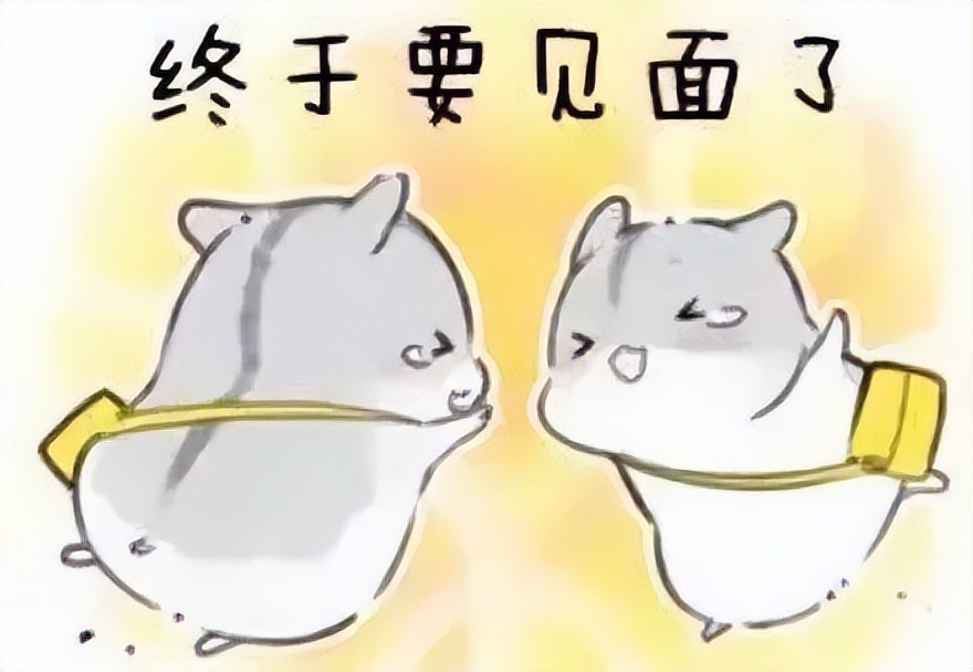 趣爱教室丨字母圈新人入圈指南|女m篇(防骗指南)