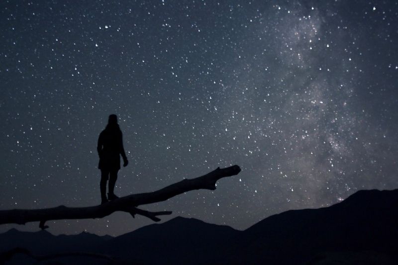 感情,本就是一场孤独的修行