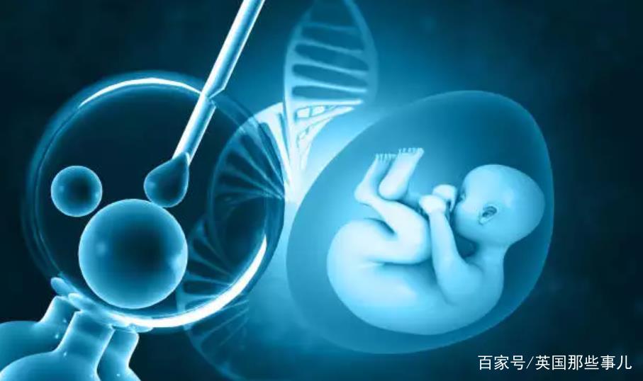 香港试管婴儿整个周期的费用是多少？做试管如何减少成本？