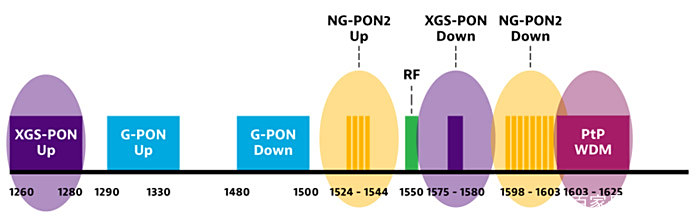 pon，pon是什么意思