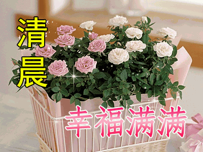 早上好问候动态图带字 2021早安问候祝福语图片带字温馨