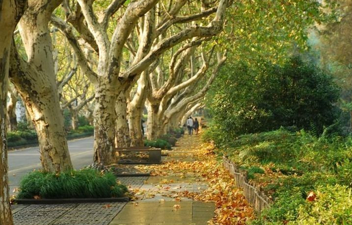 杭州老照片,回忆90年代的大街小巷,如今皆成景点,你还认得吗