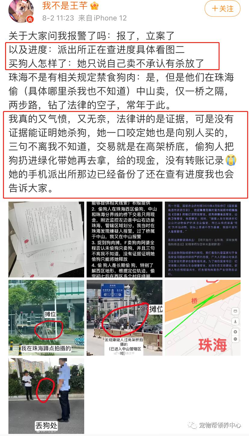 柴犬初七当街被偷走怎么回事柴犬初七事件始末凶手抓到了吗