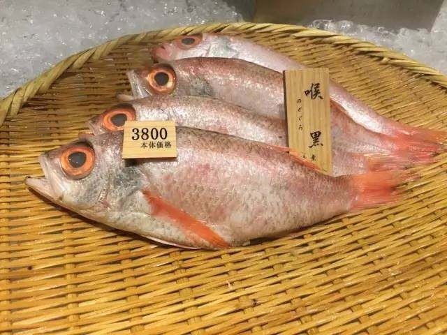 海鲜水产—黑喉鱼产地