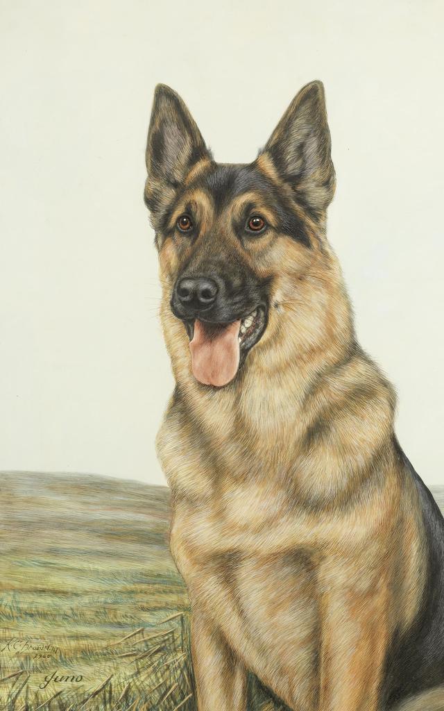 艺术家笔下的写实油画宠物狗100幅