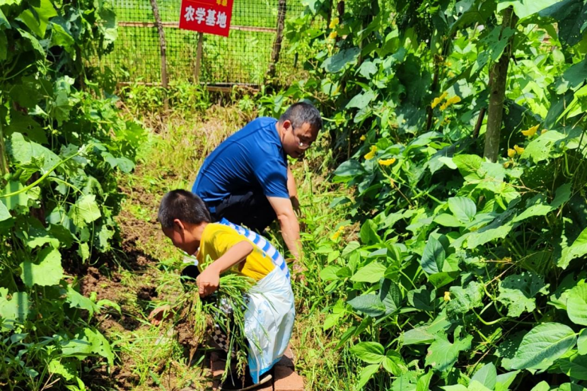 新邵县小塘镇中心小学开展农学基地上劳动课实践活动
