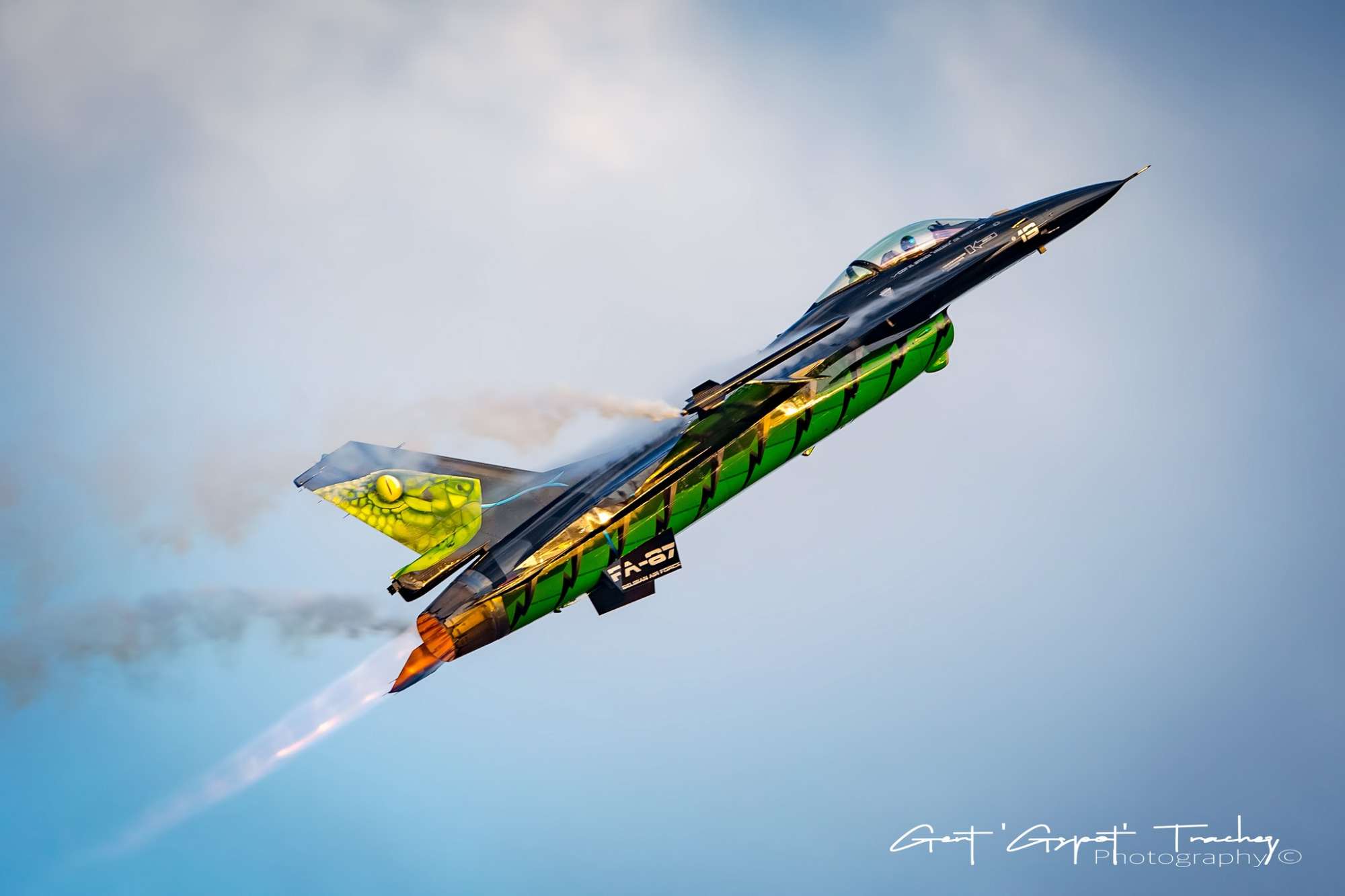 「2022北约老虎会」比利时空军"梦幻毒蛇"涂装