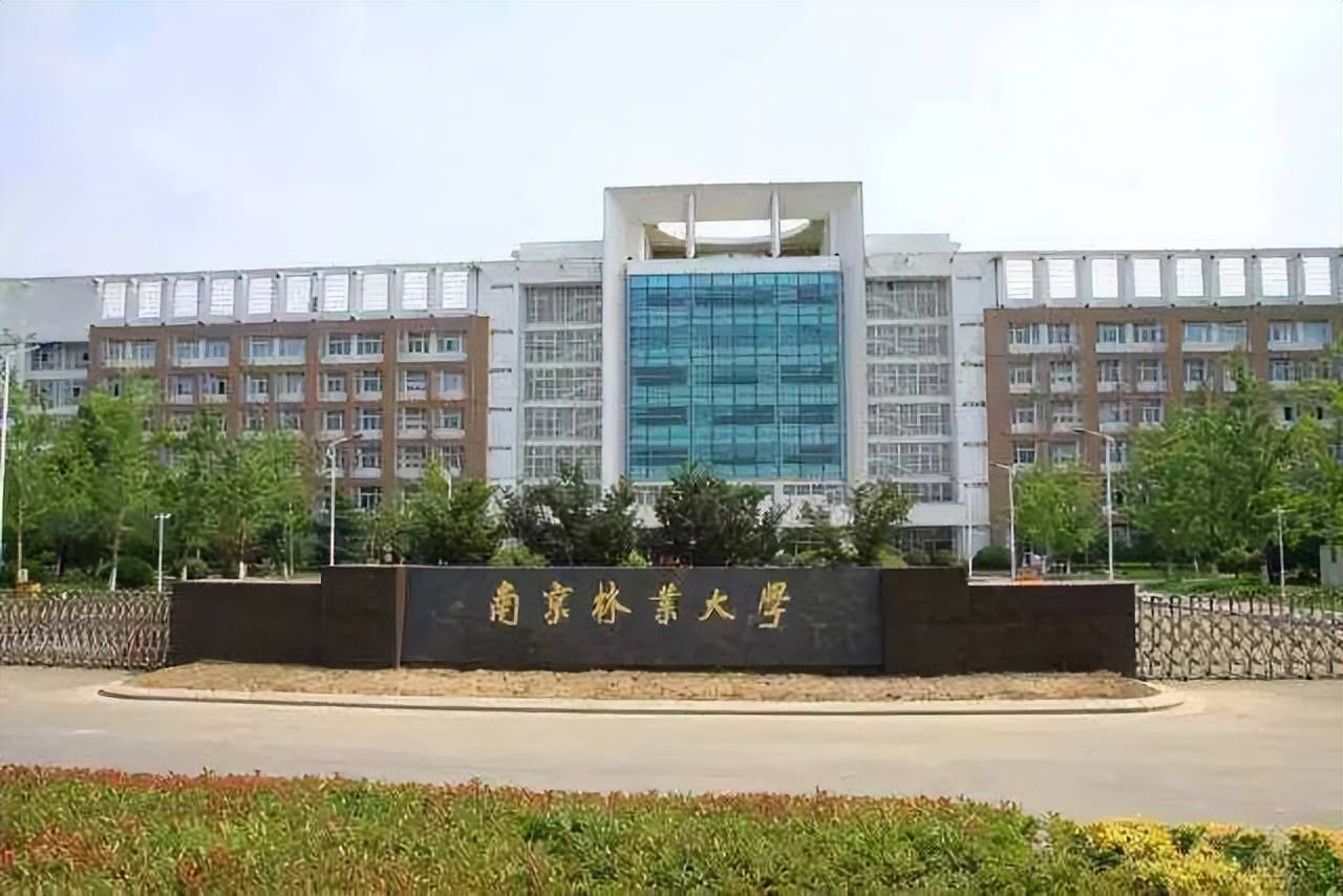 南京林业大学淮安校区图片