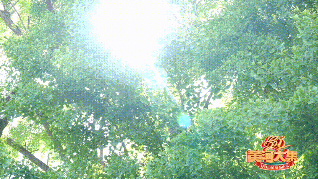 "天下第一"!4000岁!