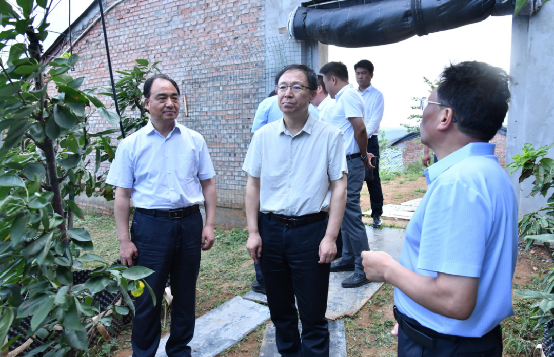 省乡村振兴局局长刘保仓来新安调研